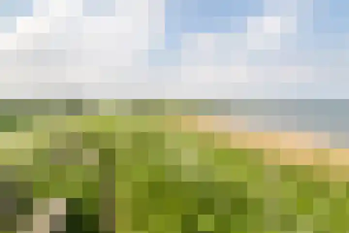 Kaaidijk 3 Wolphaartsdijk thumbnail 31