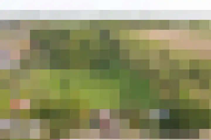 Kaaidijk 3 Wolphaartsdijk thumbnail 42