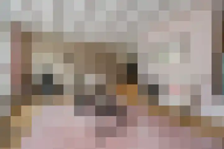 Kaaidijk 6 Huissen thumbnail 10