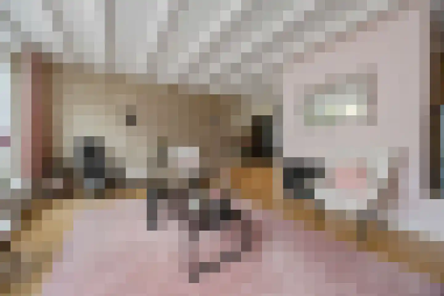 Kaaidijk 6 Huissen thumbnail 10