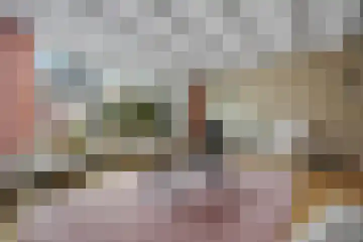 Kaaidijk 6 Huissen thumbnail 11