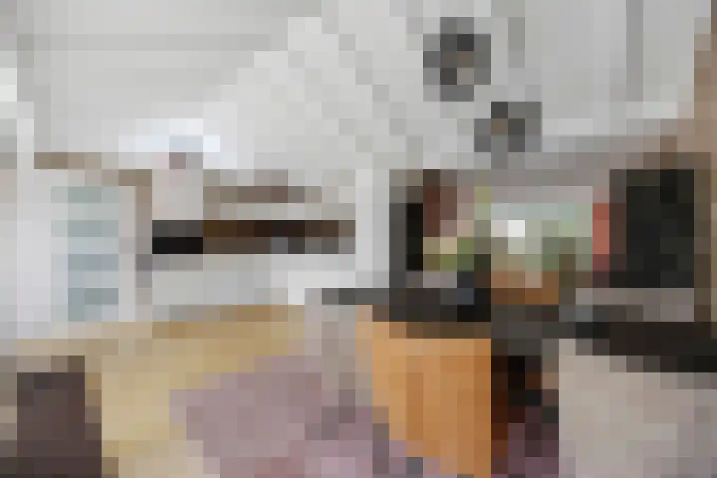 Kaaidijk 6 Huissen thumbnail 19
