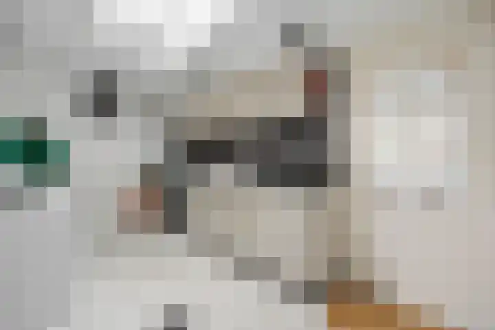 Kaaidijk 6 Huissen thumbnail 20