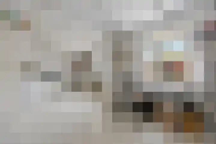 Kaaidijk 6 Huissen thumbnail 31