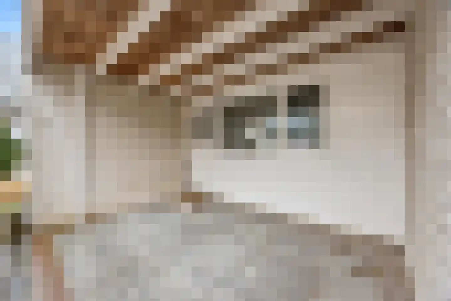 Kaaidijk 6 Huissen thumbnail 4