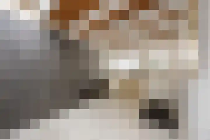 Kaaidijk 6 Huissen thumbnail 5