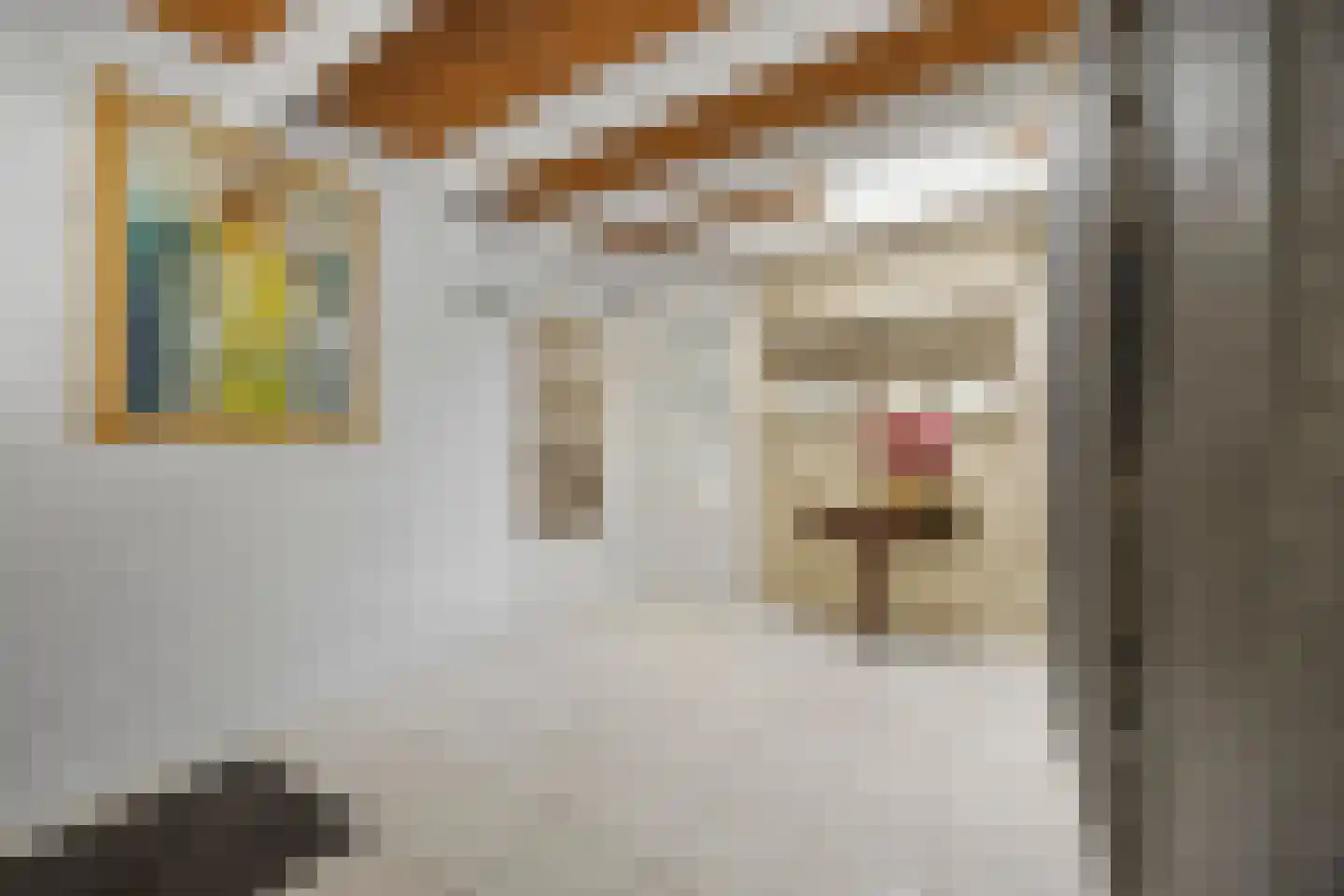 Kaaidijk 6 Huissen thumbnail 6