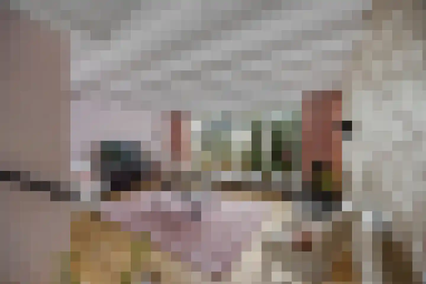 Kaaidijk 6 Huissen thumbnail 8