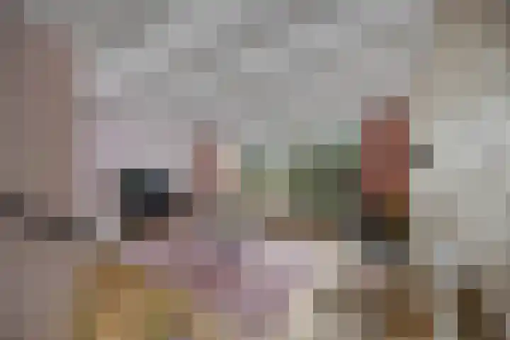 Kaaidijk 6 Huissen thumbnail 8
