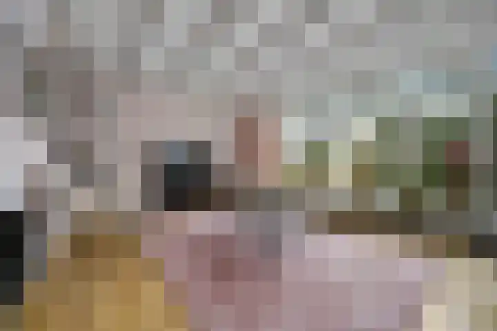 Kaaidijk 6 Huissen thumbnail 9