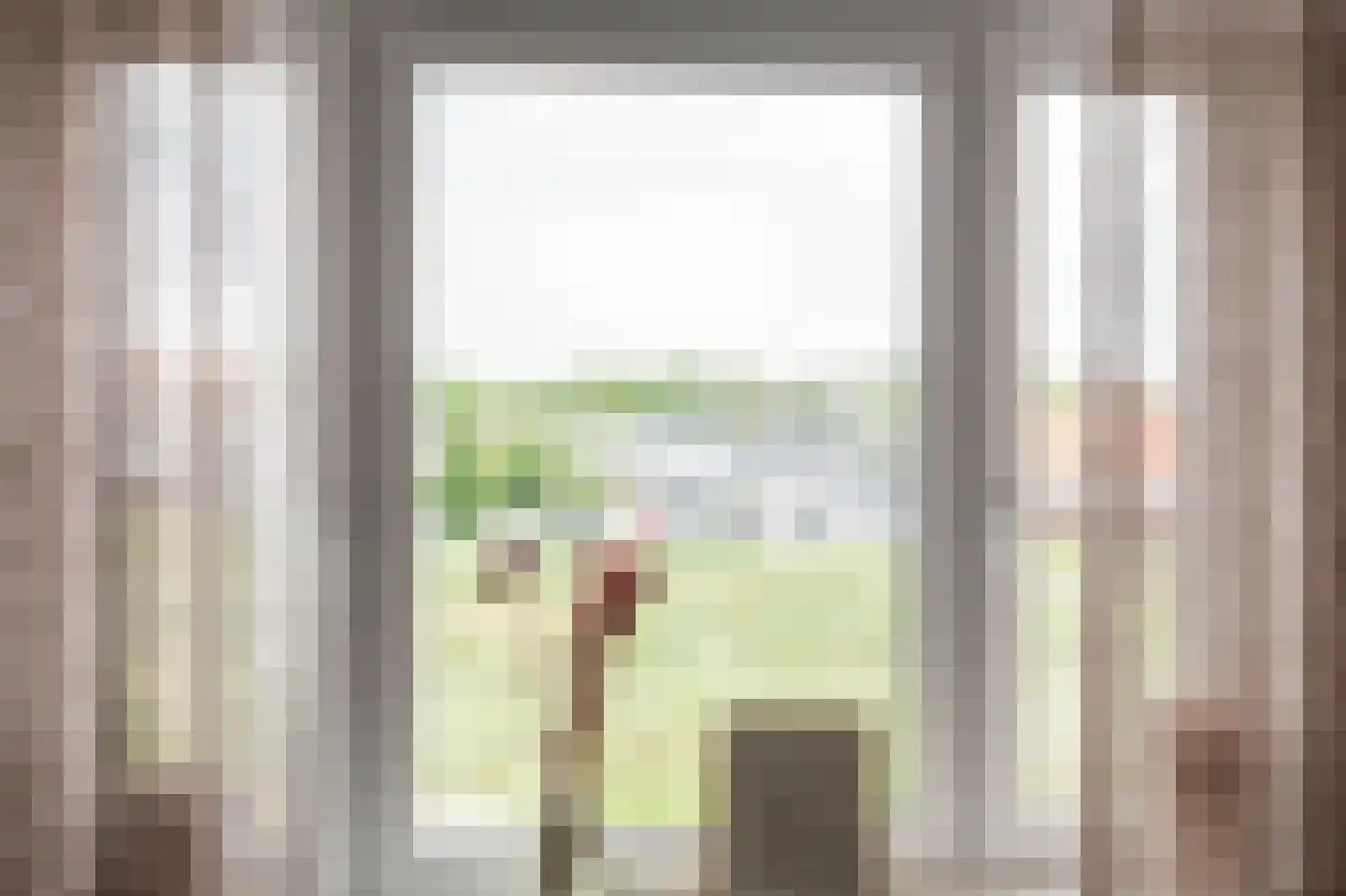 Kaaij 10 Tholen thumbnail 16