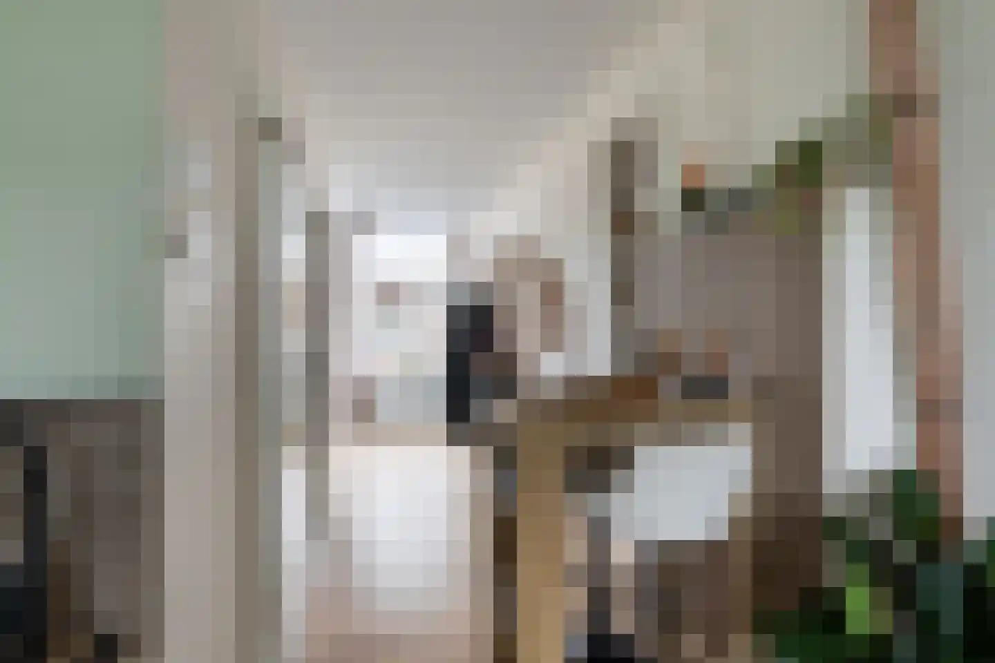 Kaaij 10 Tholen thumbnail 18