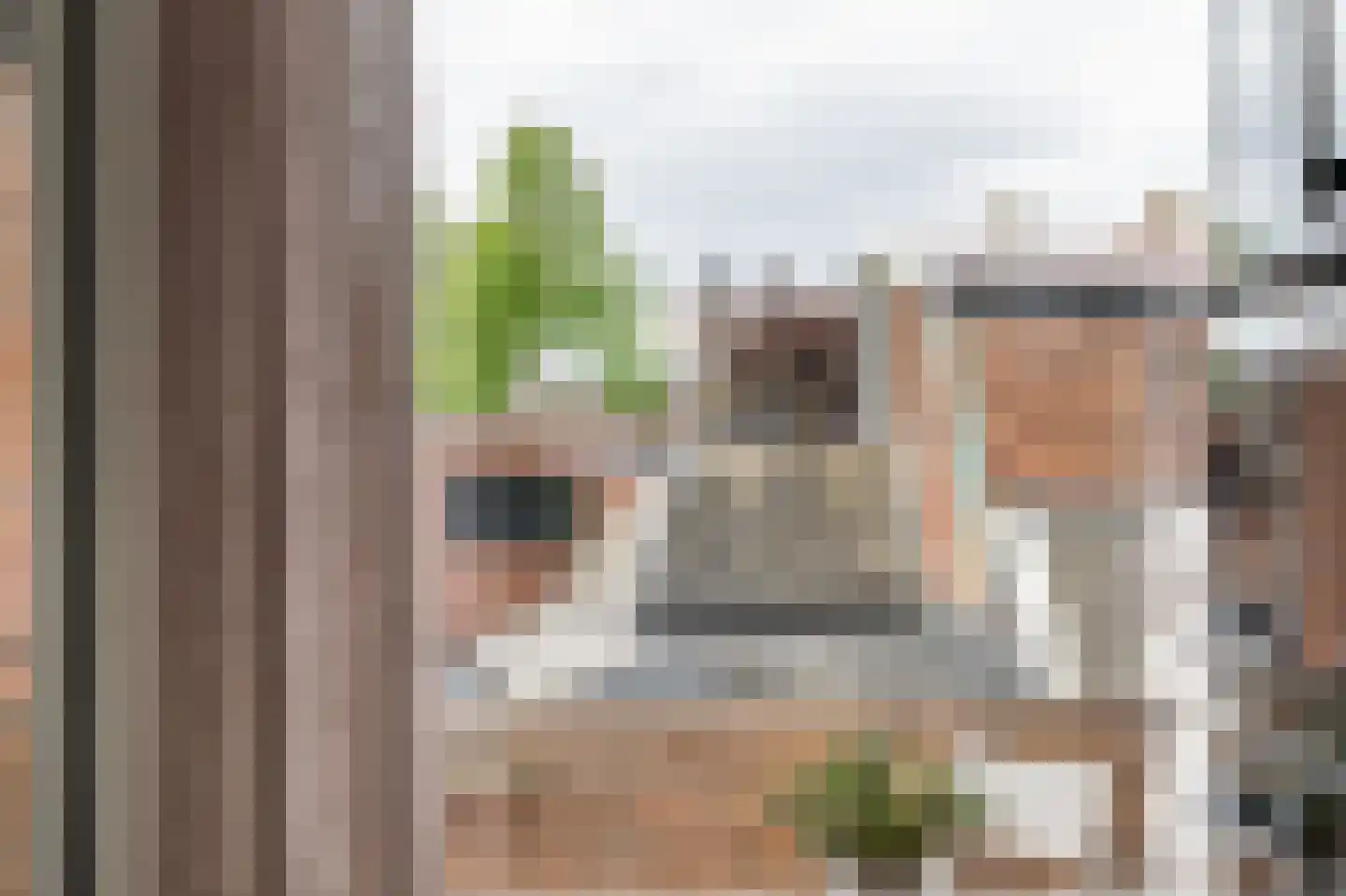 Kaaij 10 Tholen thumbnail 20