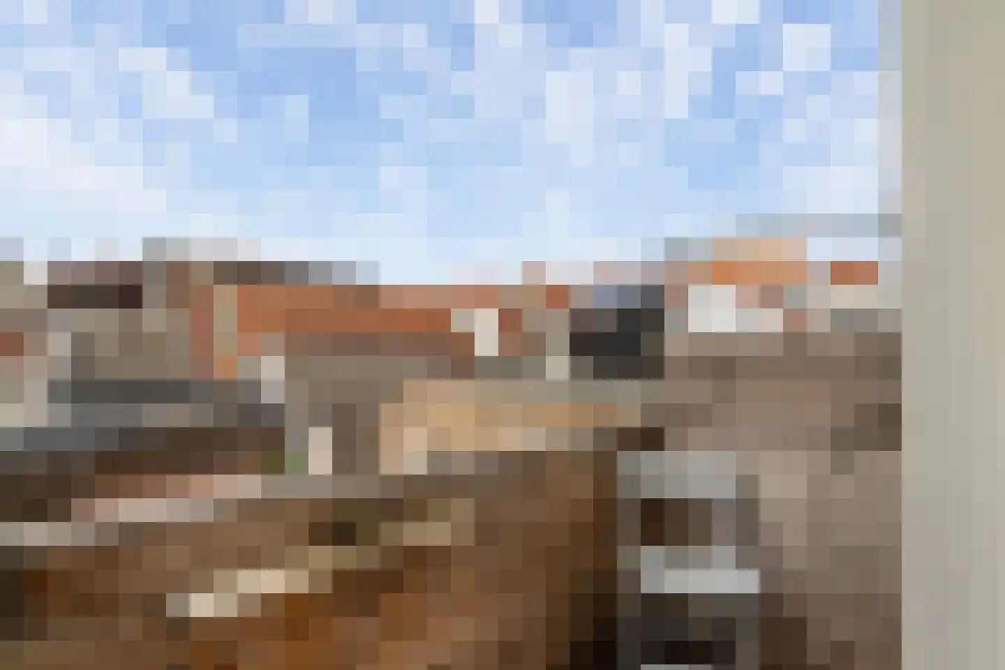 Kaaij 10 Tholen thumbnail 26