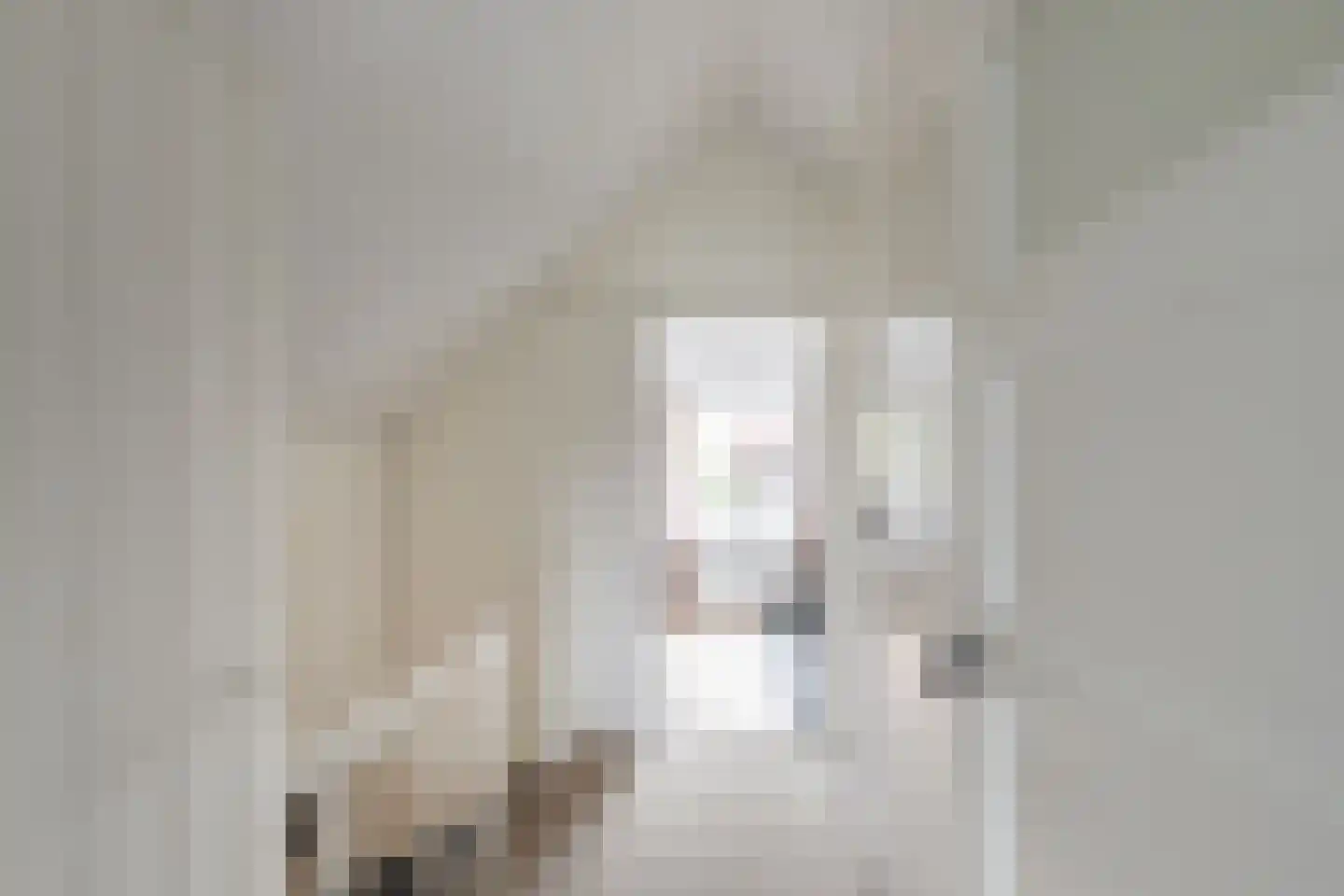 Kaaij 10 Tholen thumbnail 29