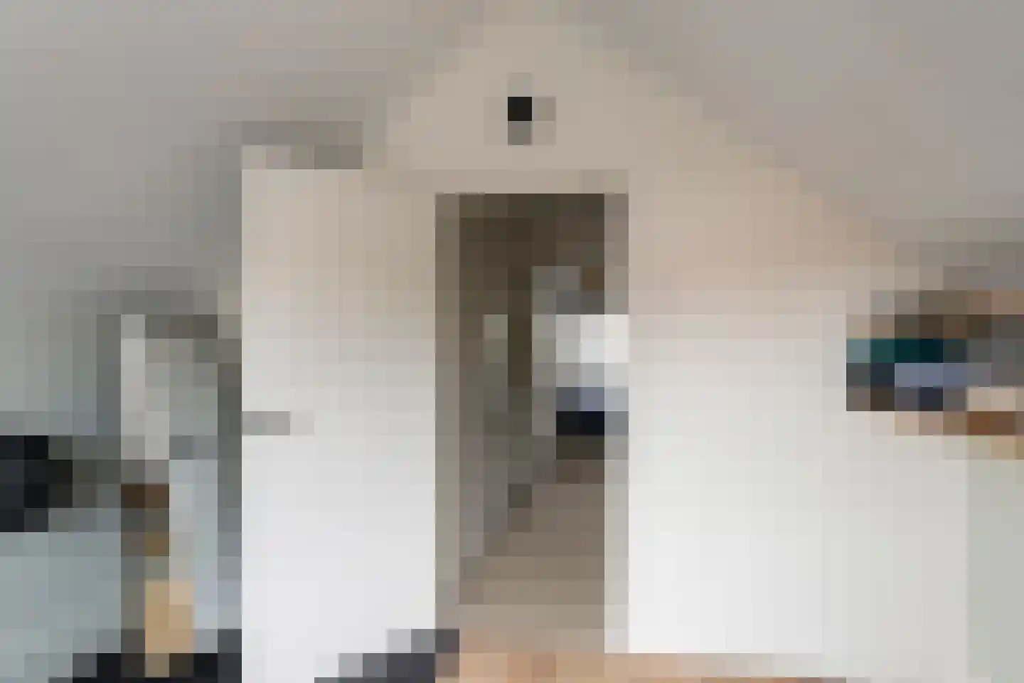 Kaaij 10 Tholen thumbnail 32