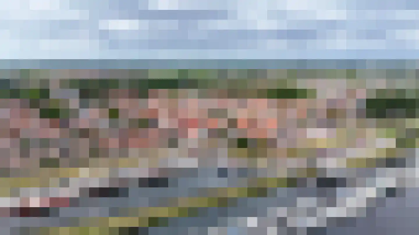 Kaaij 10 Tholen thumbnail 4