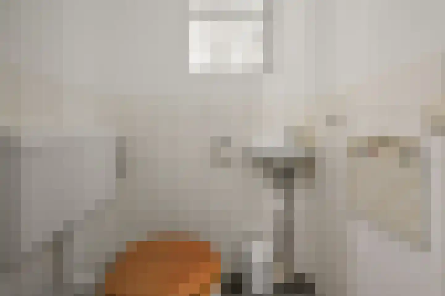 Kaaikhof 154 Assendelft thumbnail 9