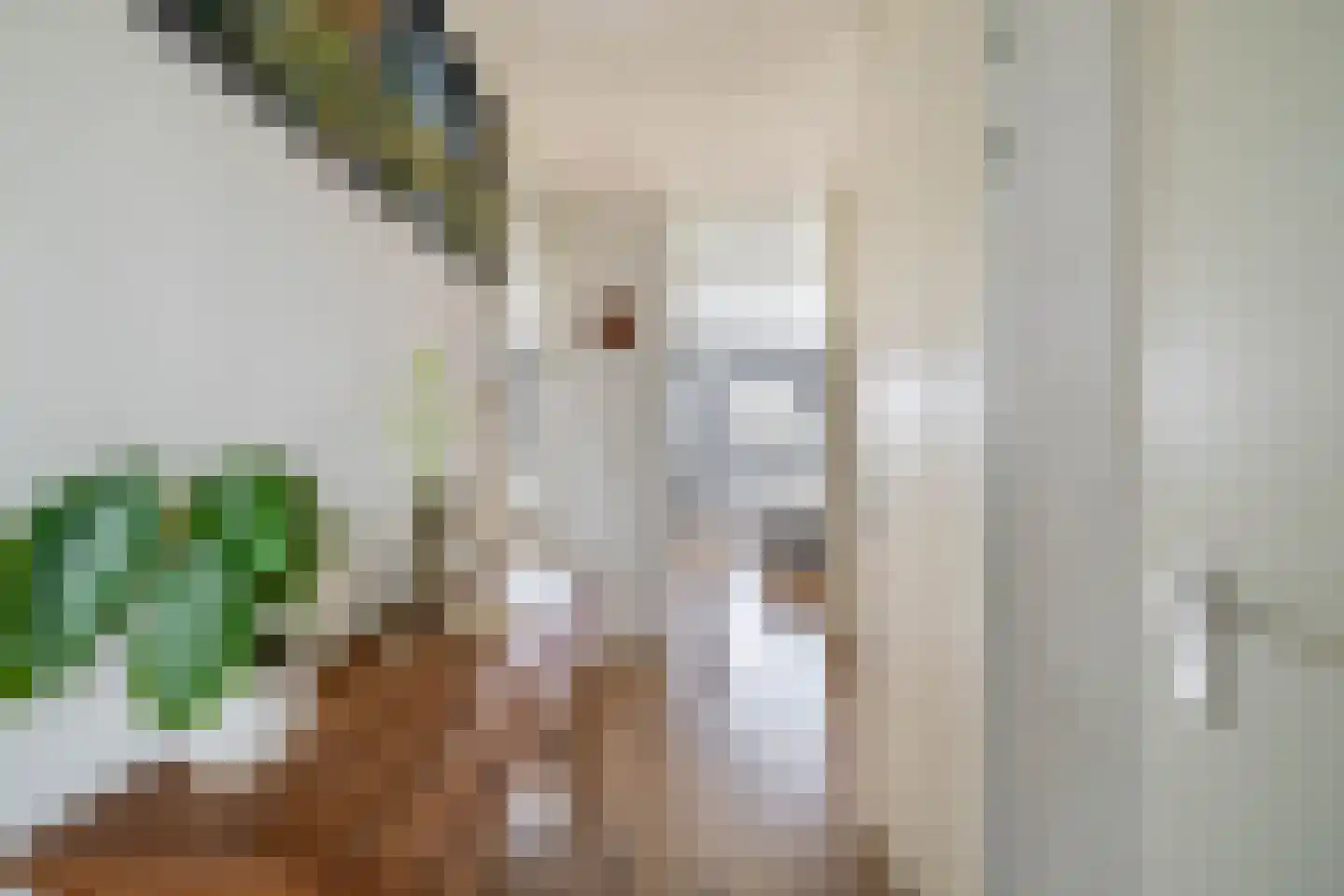 Kaaikhof 156 Assendelft thumbnail 15