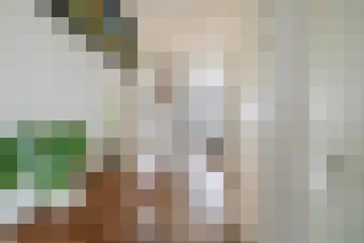 Kaaikhof 156 Assendelft thumbnail 15
