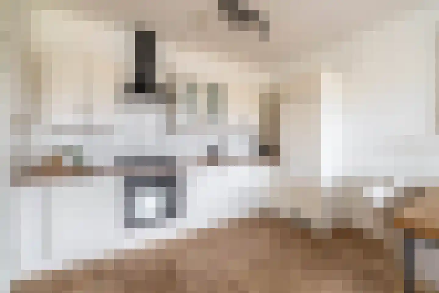 Kaaikhof 156 Assendelft thumbnail 18
