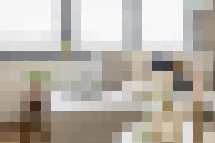 Kaaikhof 156 Assendelft thumbnail 24