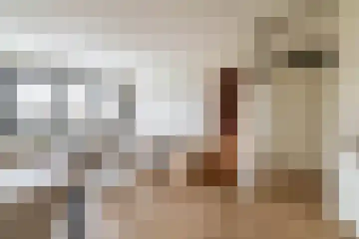 Kaaikhof 156 Assendelft thumbnail 27