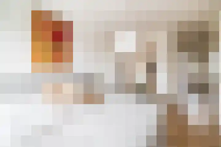 Kaaikhof 156 Assendelft thumbnail 29