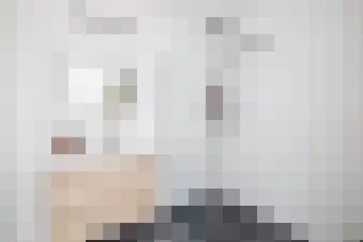 Kaaikhof 156 Assendelft thumbnail 31