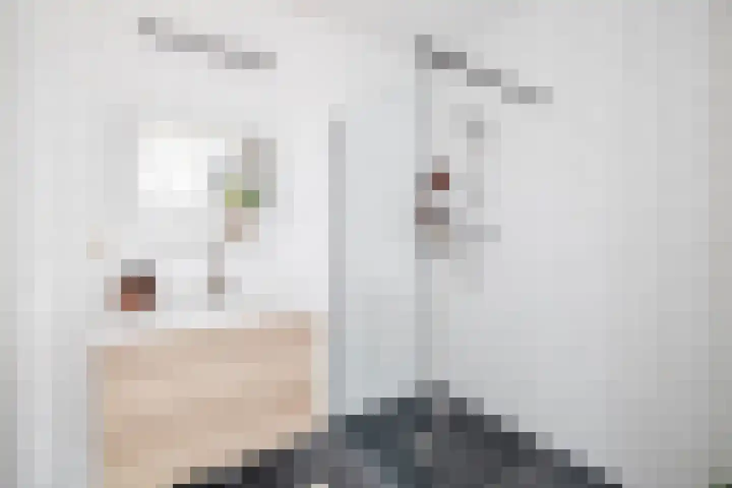 Kaaikhof 156 Assendelft thumbnail 31