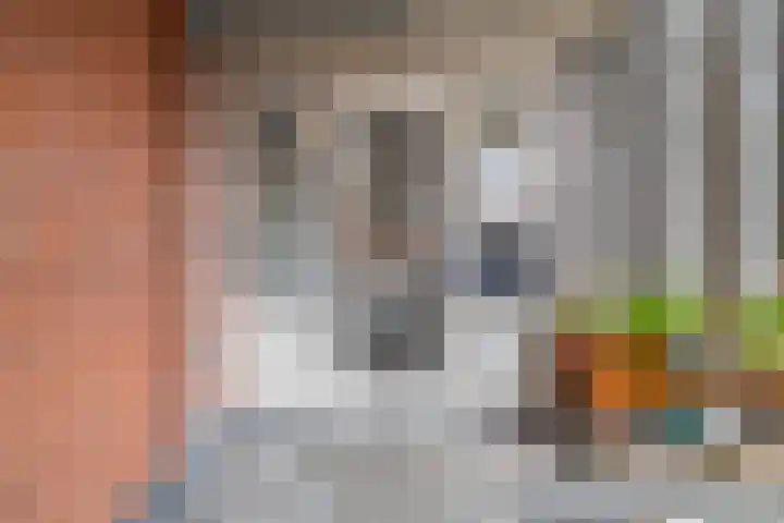 Kaaikhof 156 Assendelft thumbnail 9