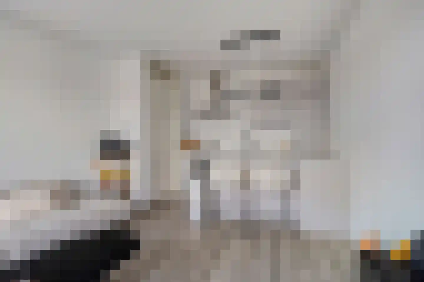 Kaaikhof 159 Assendelft thumbnail 13