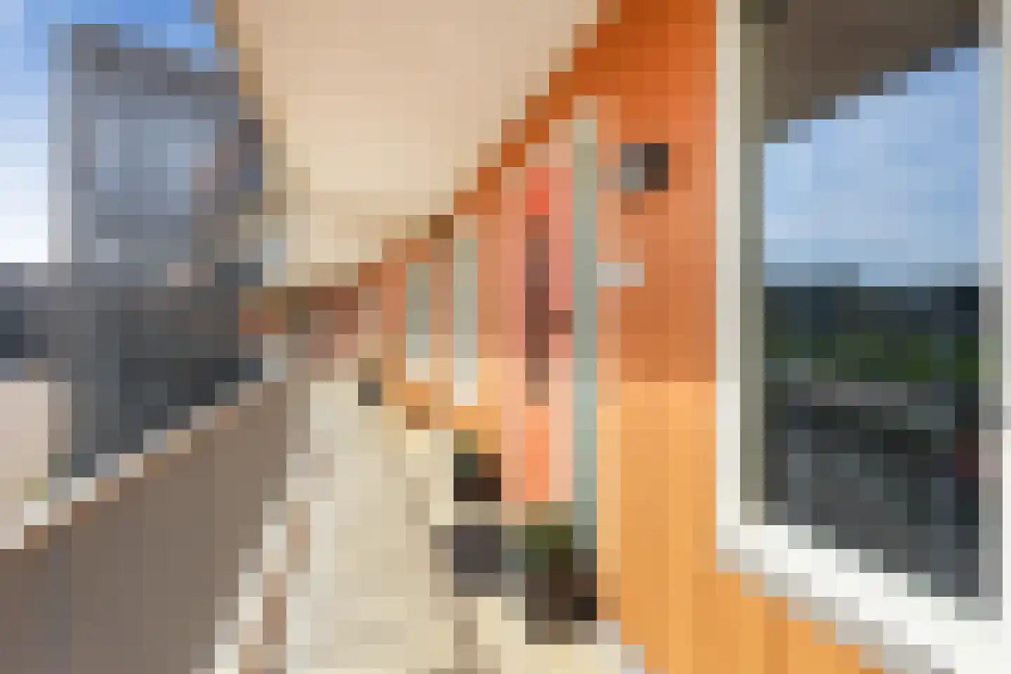 Kaaikhof 185 Assendelft thumbnail 5