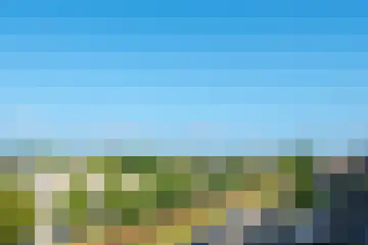 Kaaikhof 206 Assendelft thumbnail 20