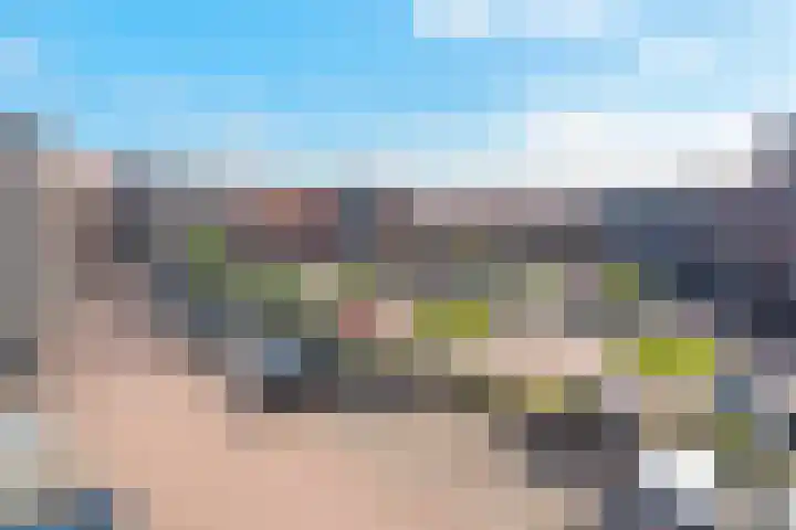 Kaaikhof 206 Assendelft thumbnail 23
