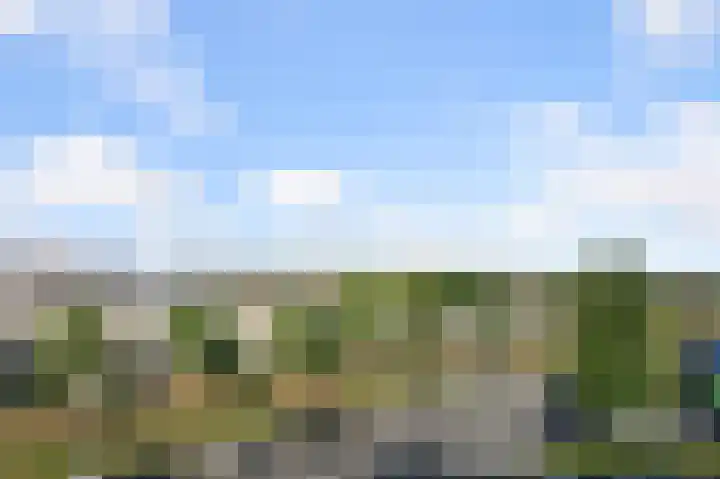 Kaaikhof 211 Assendelft thumbnail 10
