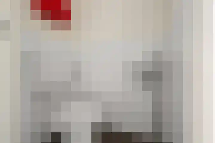 Kaaikhof 211 Assendelft thumbnail 20