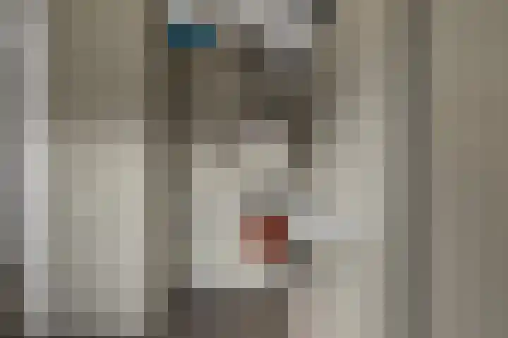 Kaaikhof 211 Assendelft thumbnail 21