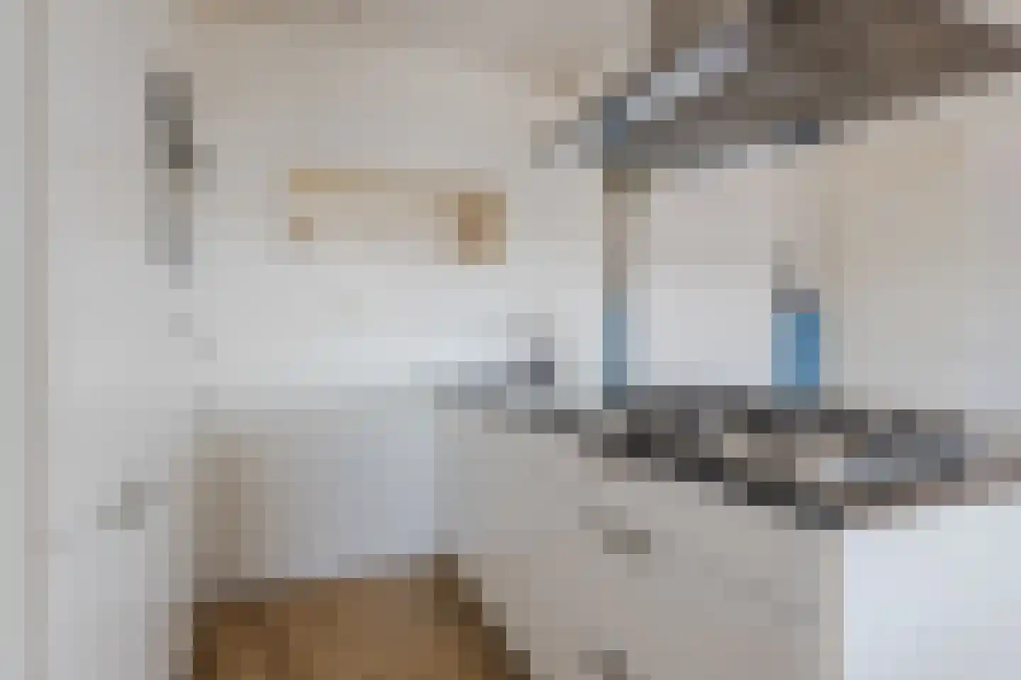 Kaaikhof 237 Assendelft thumbnail 17