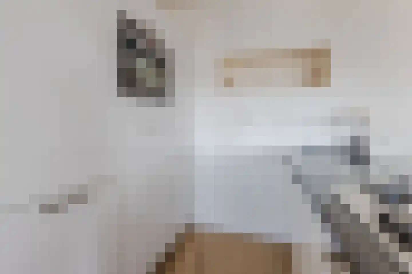 Kaaikhof 237 Assendelft thumbnail 18