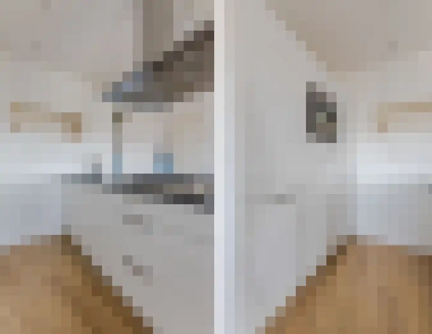 Kaaikhof 237 Assendelft thumbnail 19