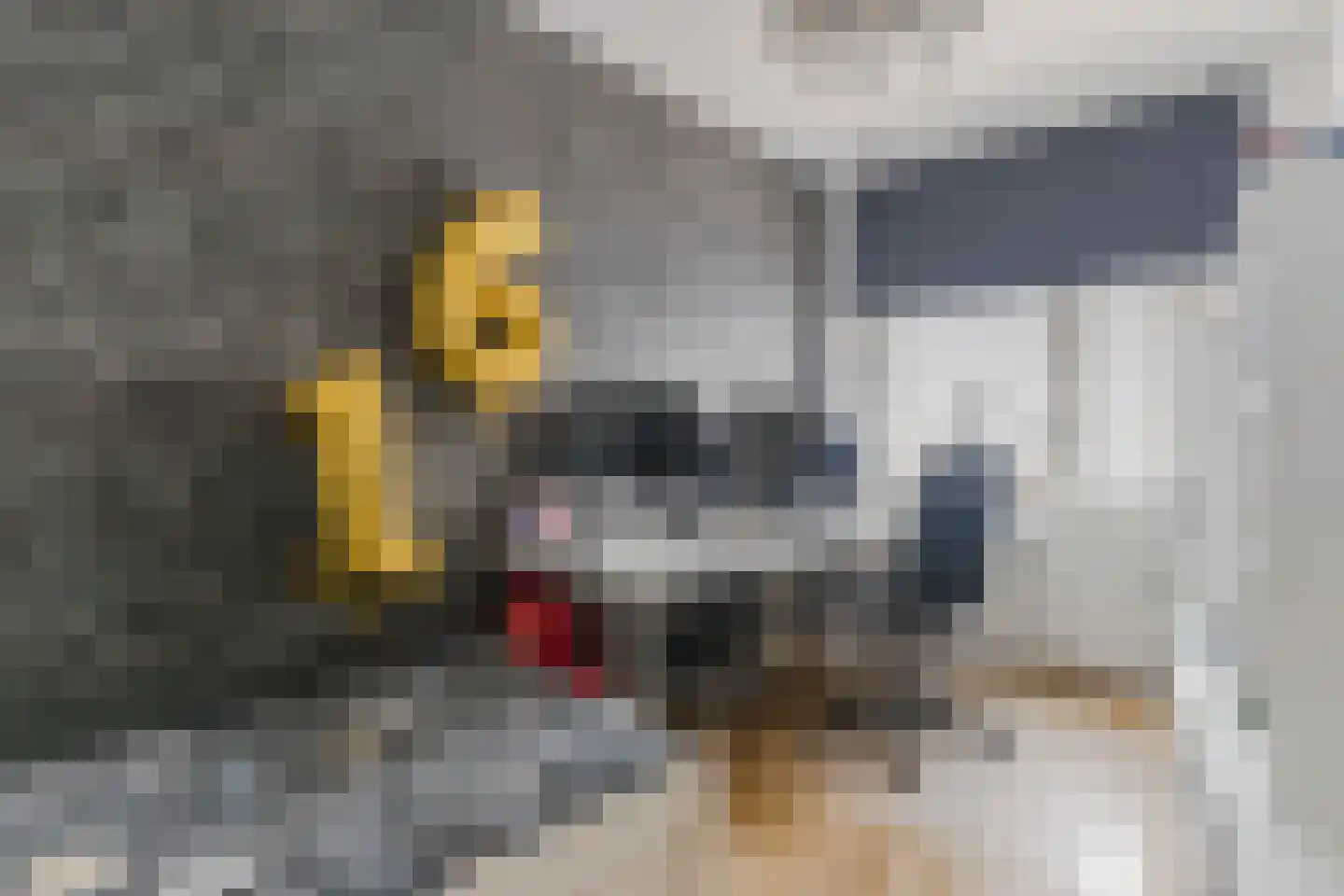 Kaaikhof 237 Assendelft thumbnail 23