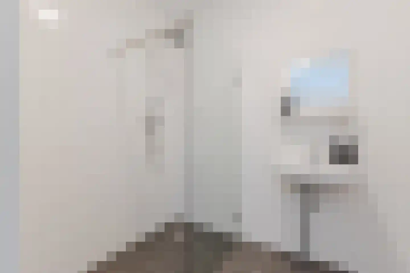 Kaaikhof 237 Assendelft thumbnail 28