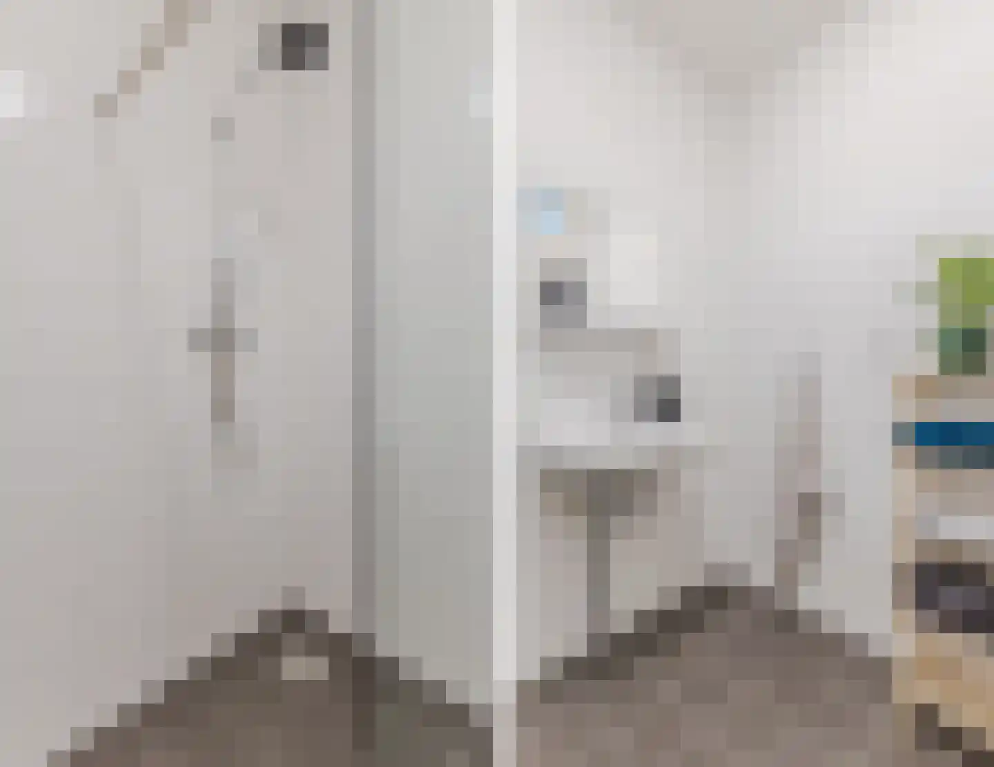 Kaaikhof 237 Assendelft thumbnail 29