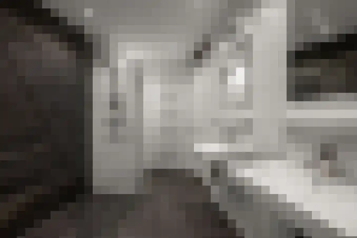 Kaaikhof 65 Assendelft thumbnail 19