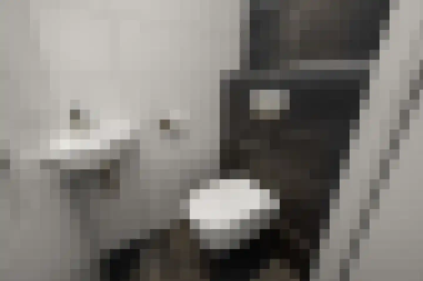 Kaaikhof 65 Assendelft thumbnail 24