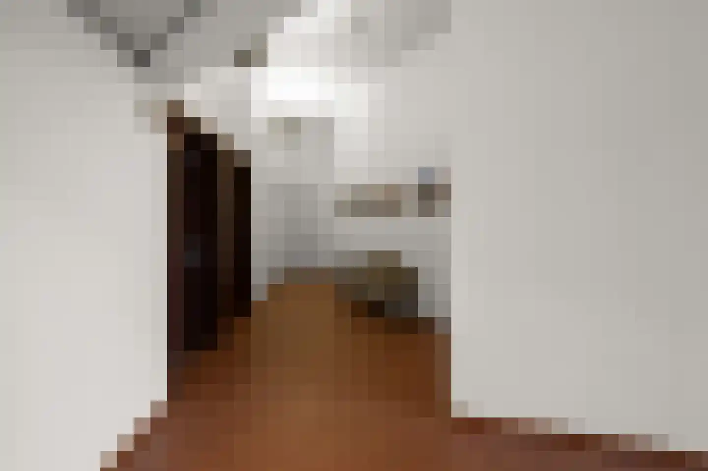 Kaaikhof 65 Assendelft thumbnail 4