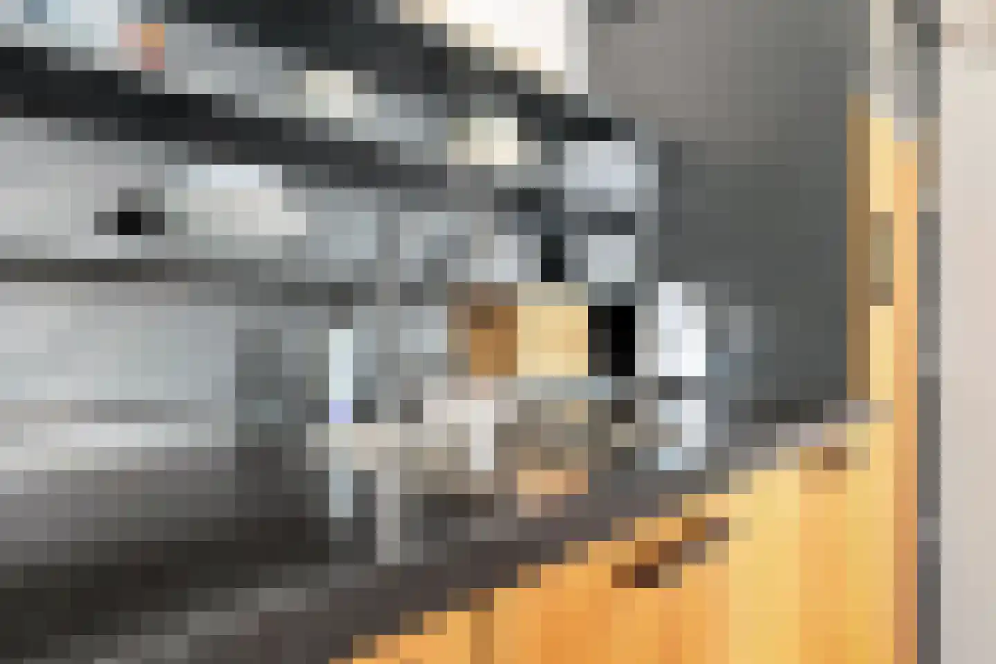 Kaaikpad 1 Assendelft thumbnail 15