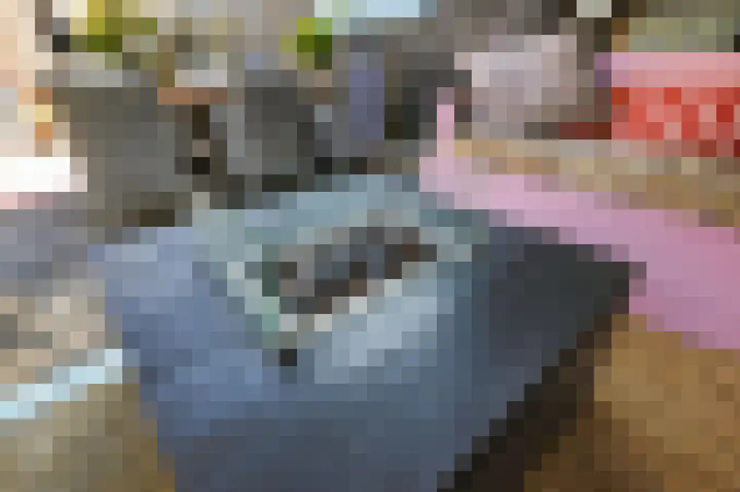 Kaaikpad 1 Assendelft thumbnail 19