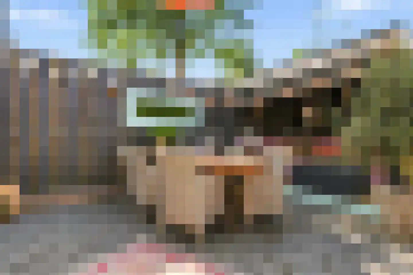Kaaikpad 1 Assendelft thumbnail 21